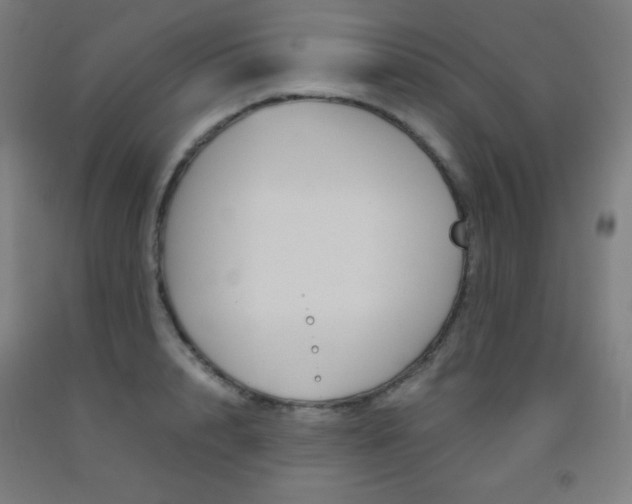 X0000093120848200709261012