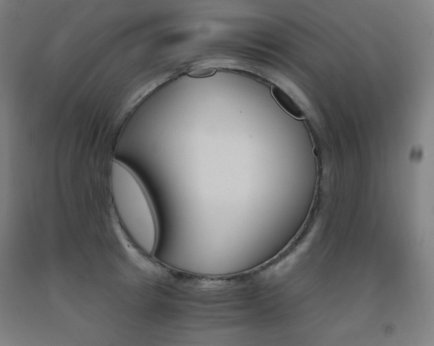 X0000093120849200709261012