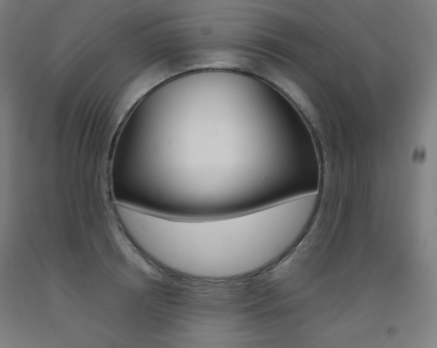 X0000093120850200709261012