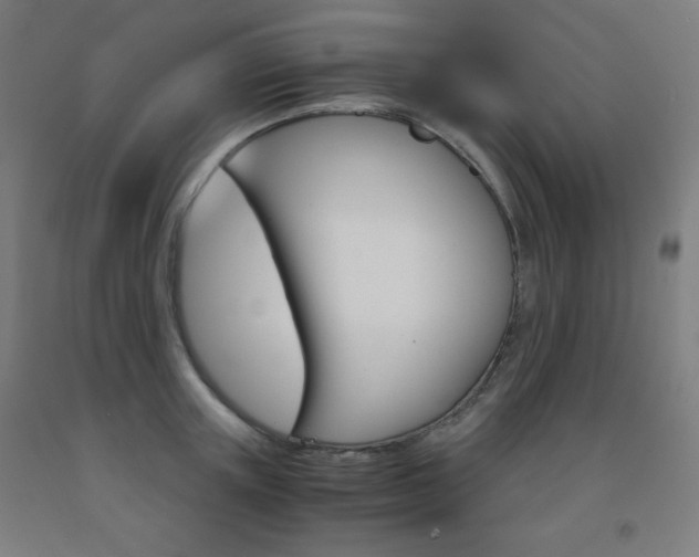 X0000093120851200709261012