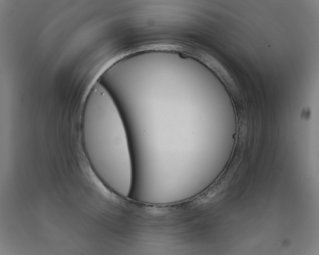 X0000093120852200709261012