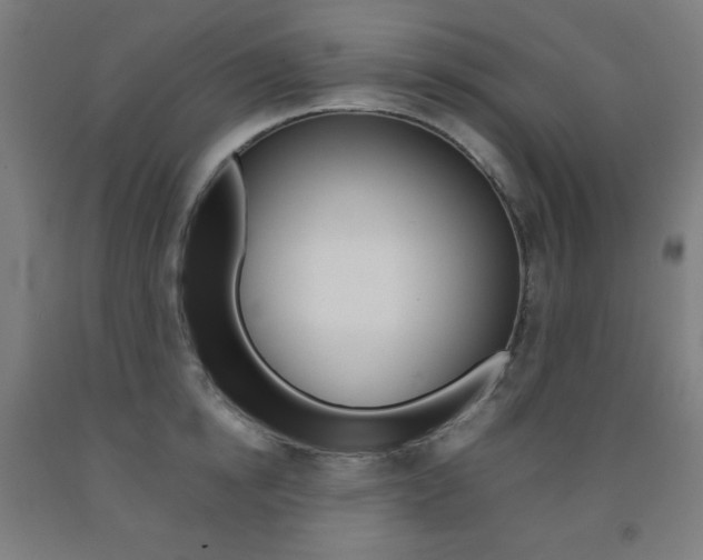 X0000093120854200709261012