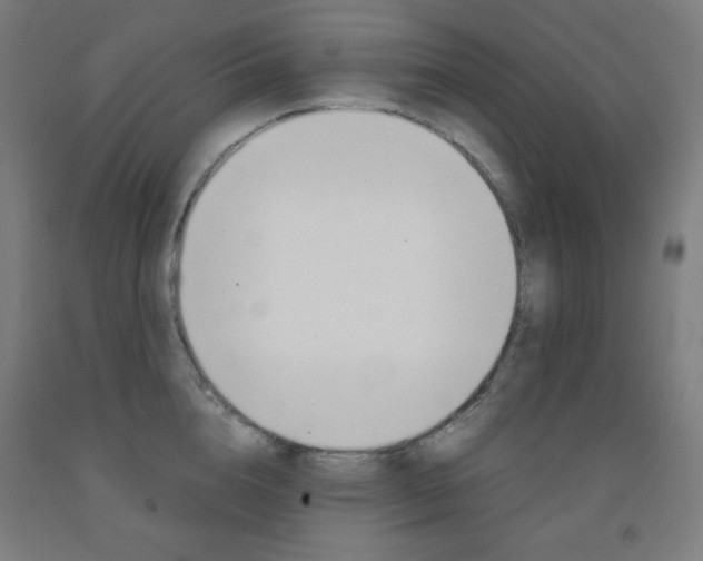 X0000093120856200709261012