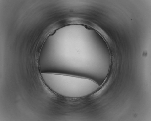 X0000093120857200709261012
