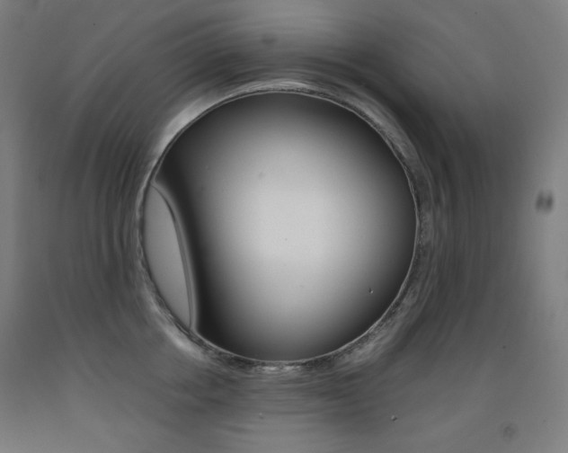 X0000093120858200709261012