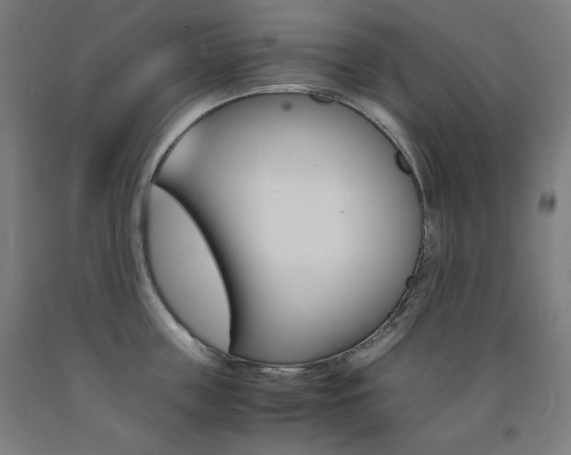 X0000093120859200709261012