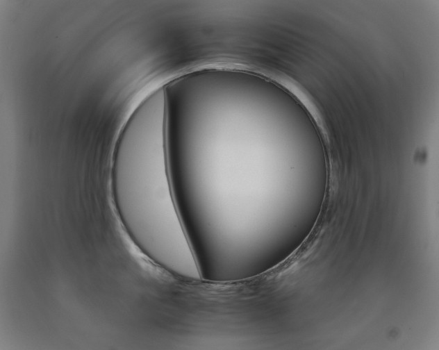 X0000093120861200709261012