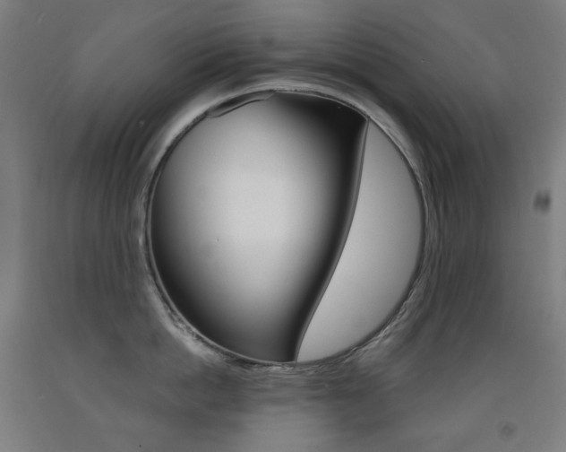 X0000093120862200709261012