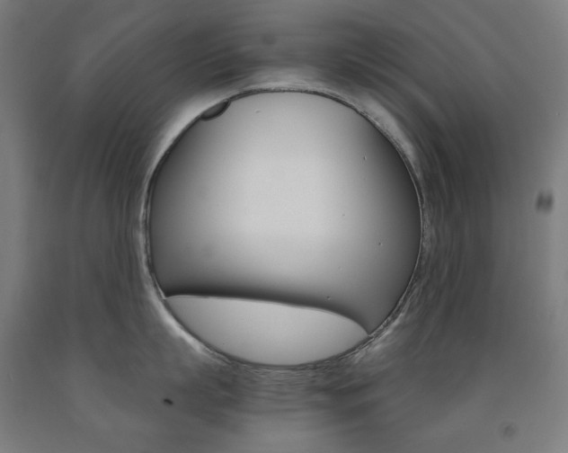 X0000093120863200709261012