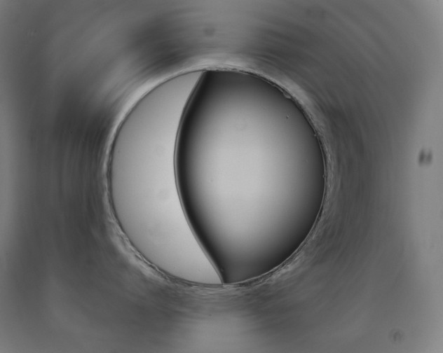 X0000093120864200709261012