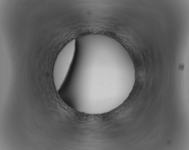 X0000093120865200709261012
