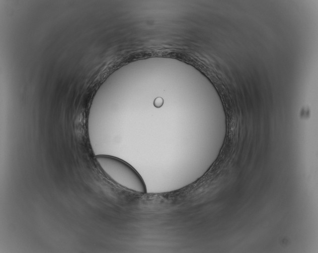 X0000093120866200709261012