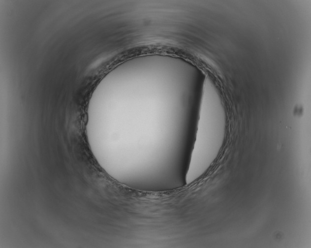X0000093120869200709261012