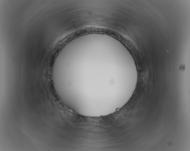 X0000093120870200709261012