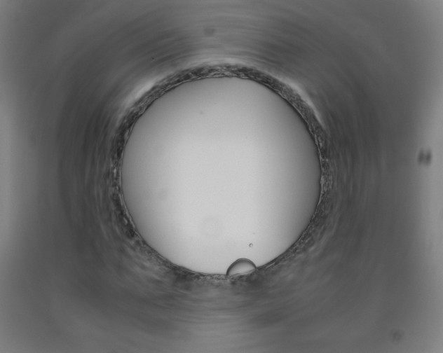 X0000093120871200709261012