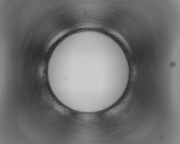 X0000093120874200709261012
