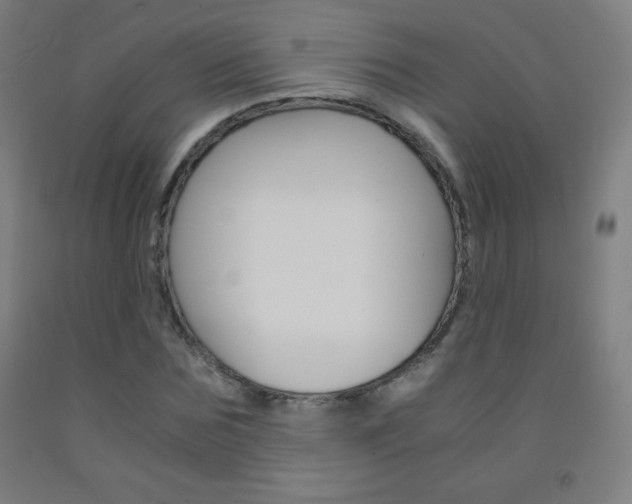 X0000093120875200709261012