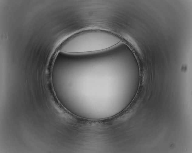 X0000093120876200709261012