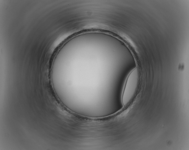 X0000093120877200709261012