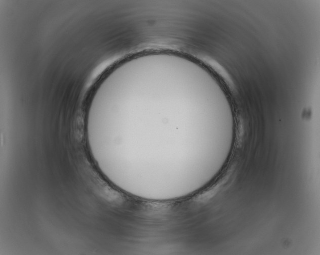 X0000093120878200709261012