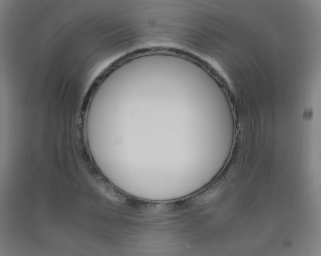 X0000093120879200709261012