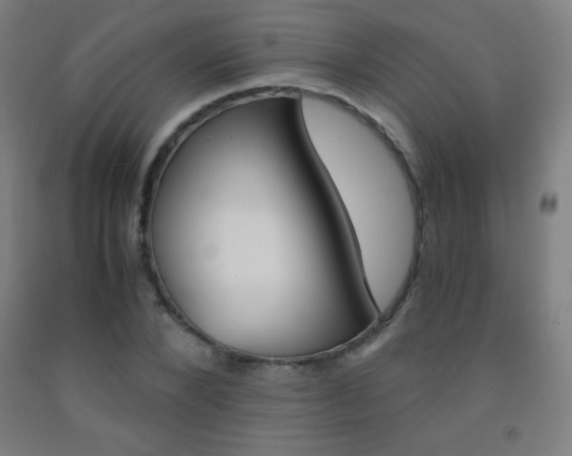 X0000093120880200709261012