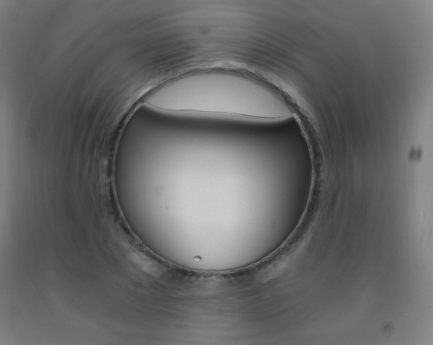X0000093120881200709261012