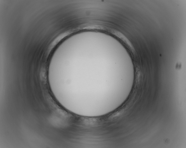 X0000093120882200709261011