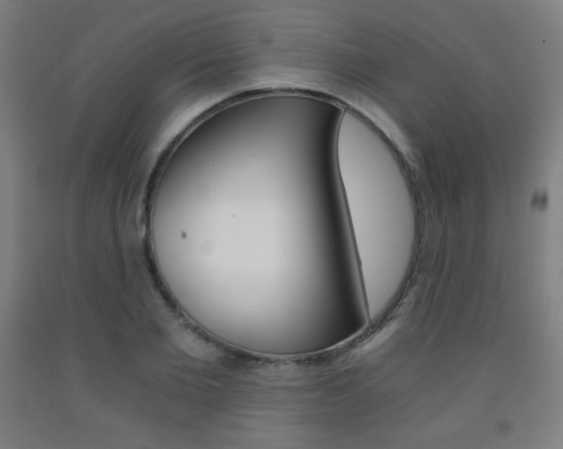 X0000093120885200709261011