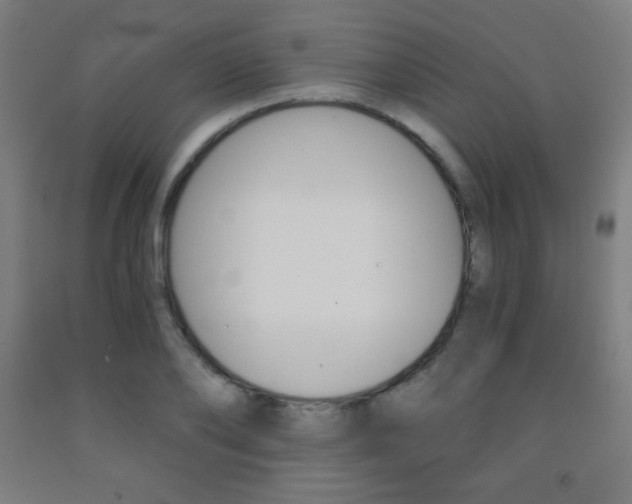 X0000093120886200709261011