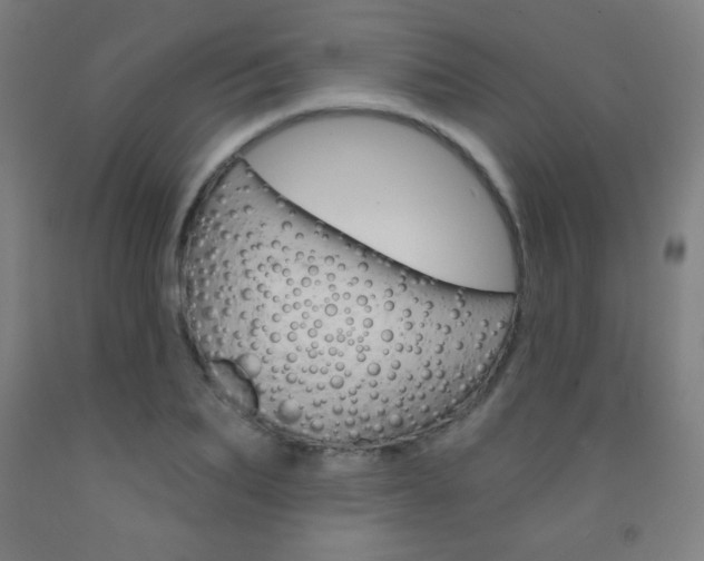 X0000093120887200709261011