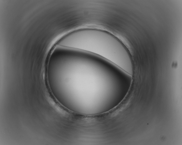 X0000093120888200709261011