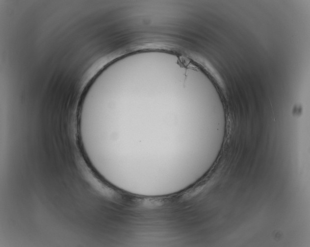 X0000093120890200709261011