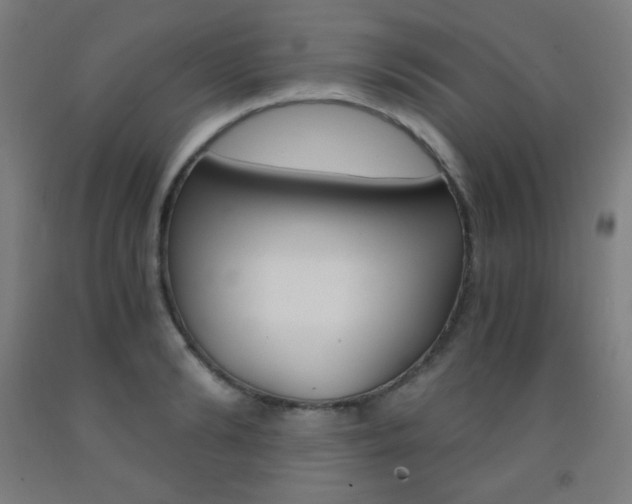 X0000093120894200709261011