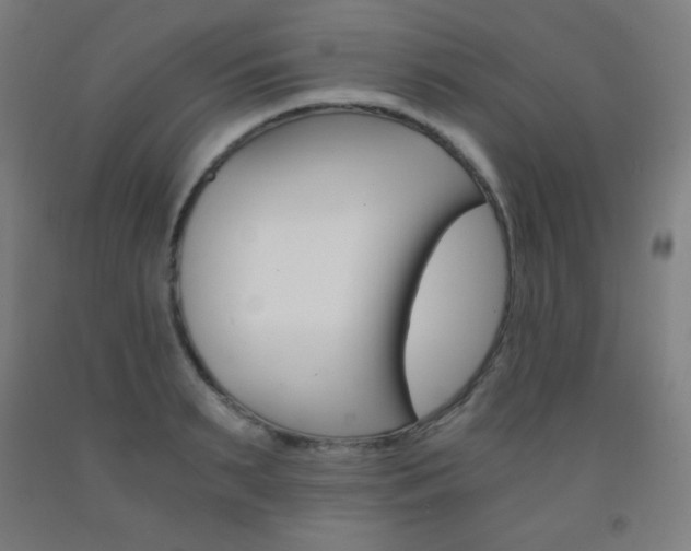X0000093120895200709261011
