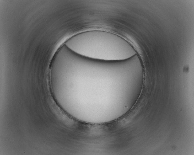 X0000093120899200709261011