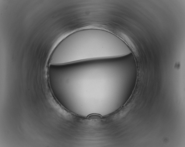 X0000093120900200709261011