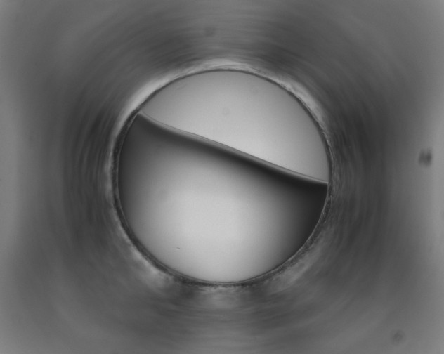 X0000093120902200709261011