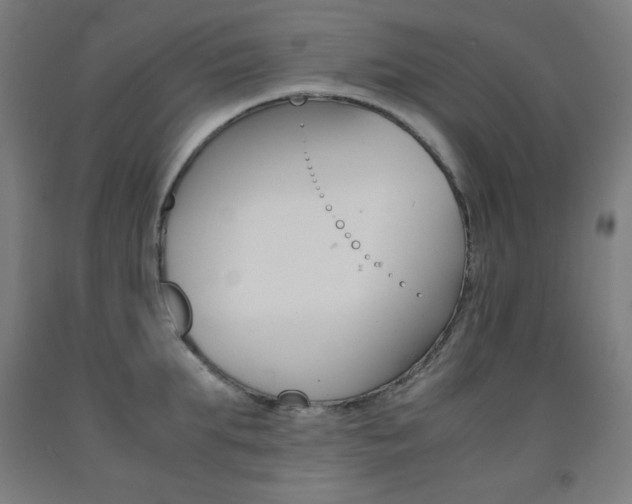 X0000093120903200709261011