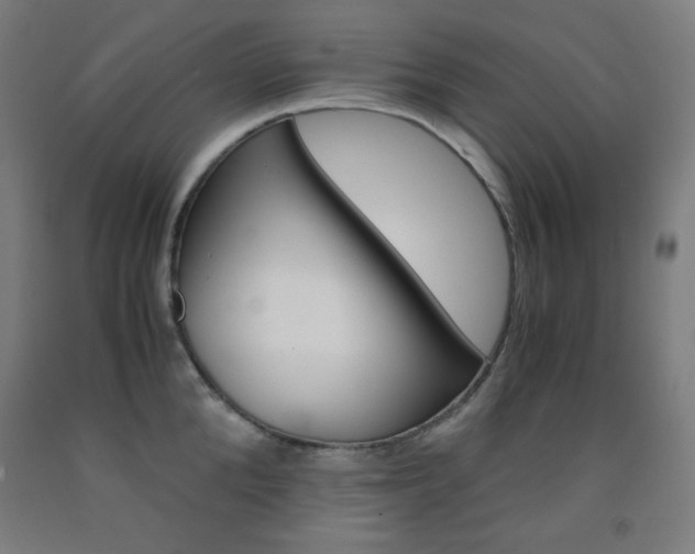 X0000093120904200709261011
