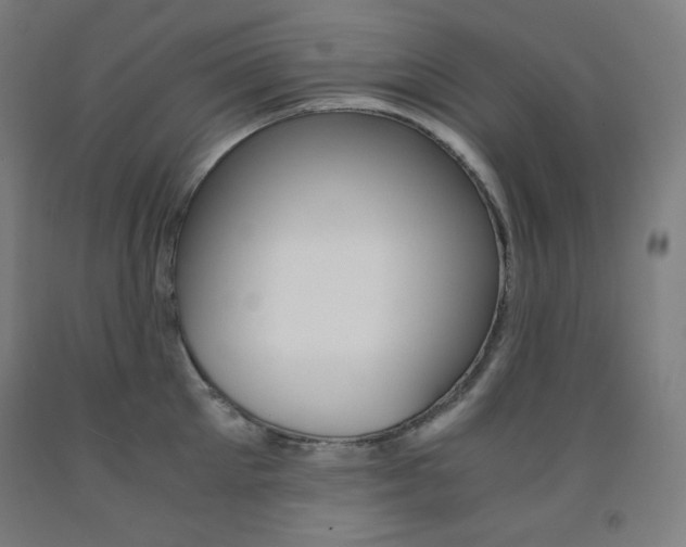 X0000093120905200709261011