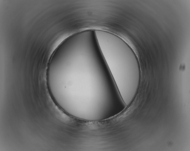 X0000093120906200709261011