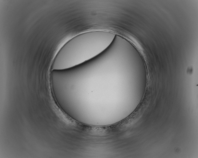 X0000093120907200709261011