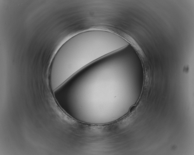 X0000093120908200709261011