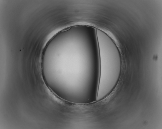 X0000093120910200709261011