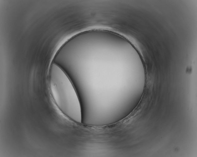 X0000093120911200709261011