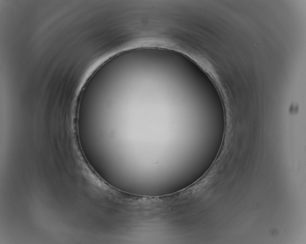 X0000093120912200709261011