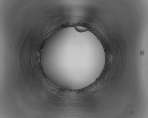 X0000093120914200709261011