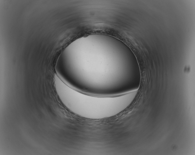 X0000093120916200709261011