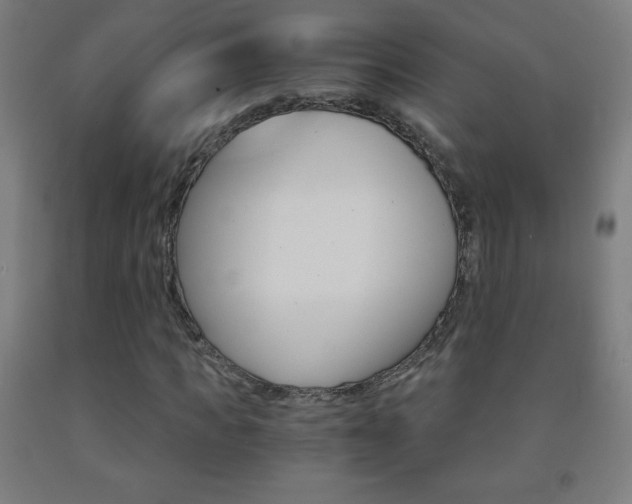 X0000093120917200709261011